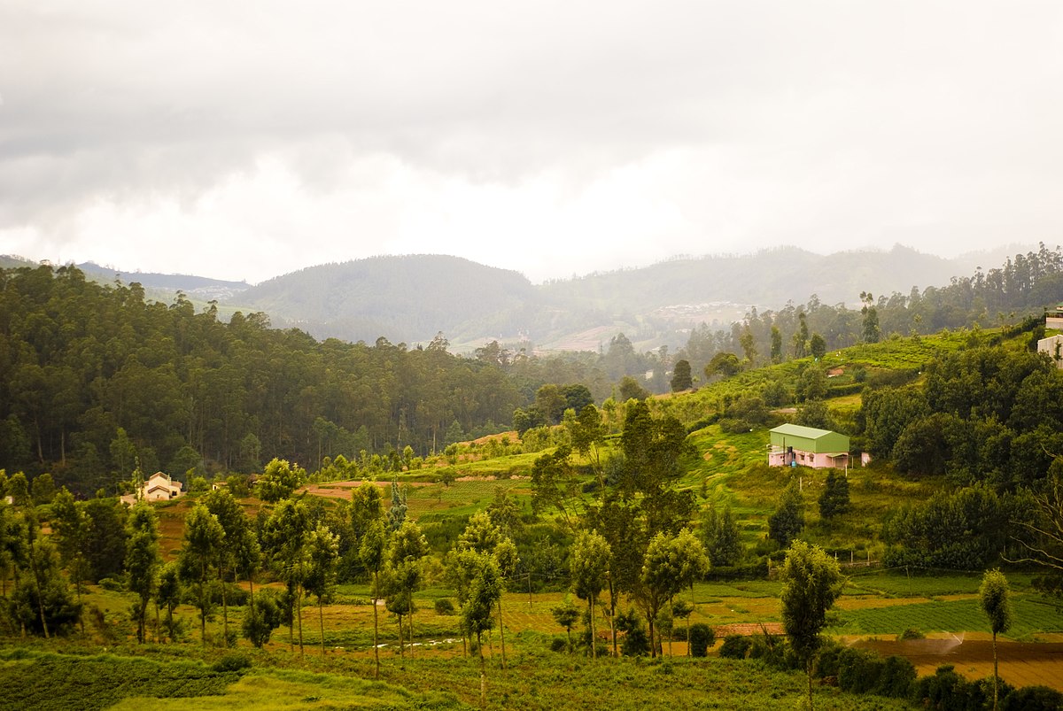 नीली पहाड़ियाँ (नीलम - नीला और गिरि - पहाड़ी या पर्वत) इस नाम का पहला उल्लेख सिलप्पदिकारम में पाया गया है। 